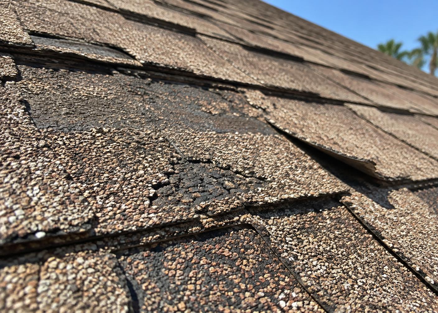 Sun-baked asphalt shingles with granule loss, cracking and curled edges